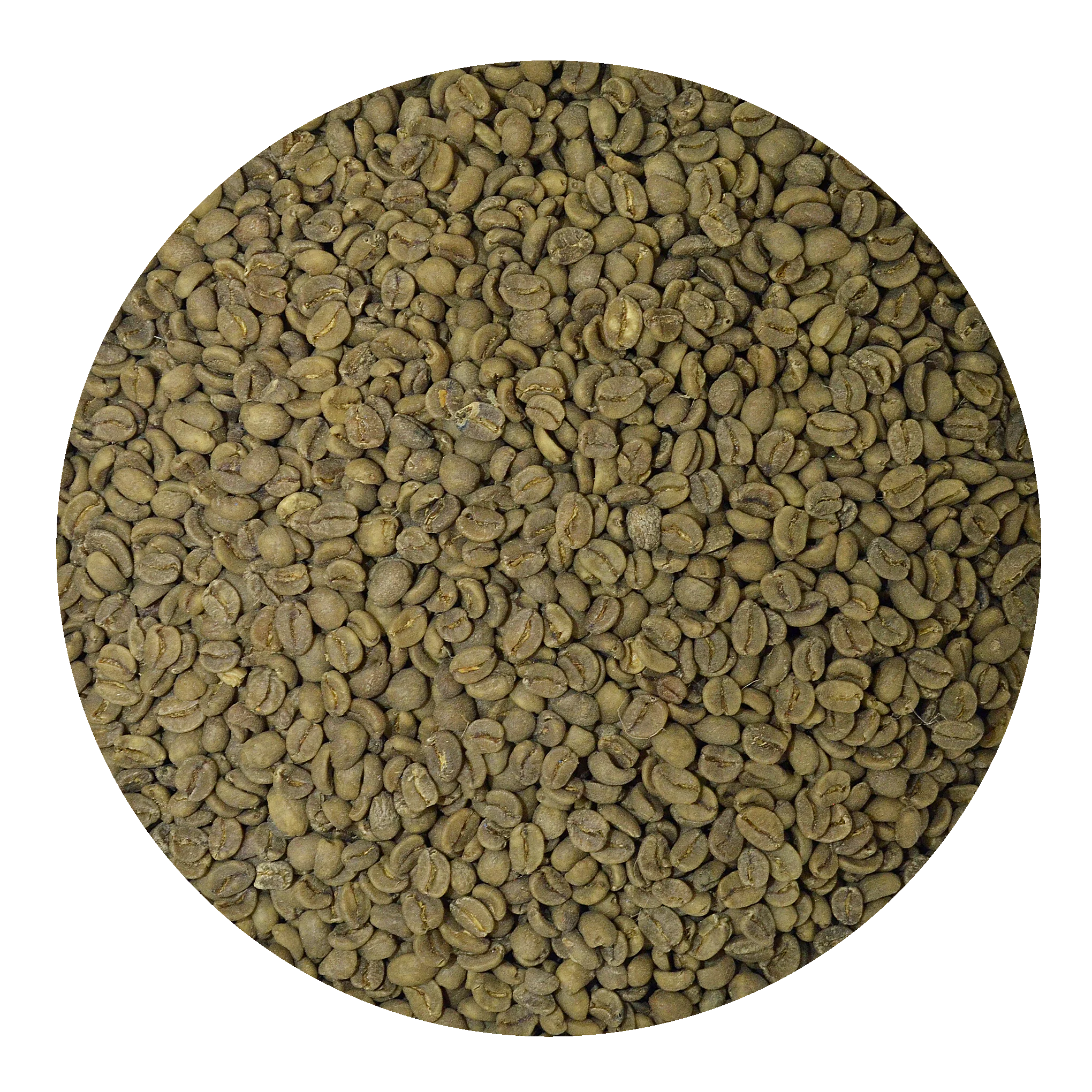 Decaf Colombia Swiss Water Process | Boxes - Image 2
