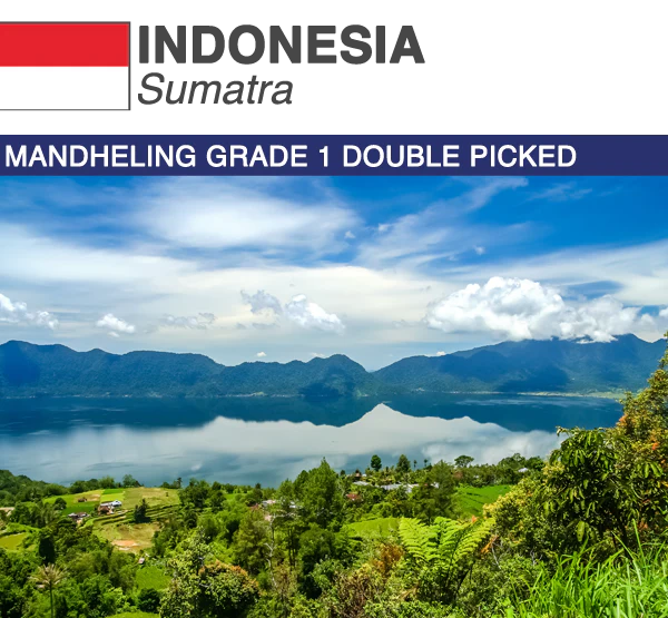 Indonesia Sumatra Mandheling Grade 1 | Boxes