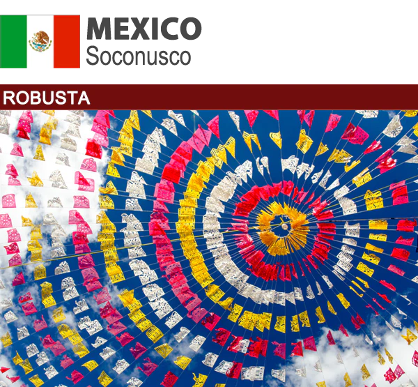 Robusta Mexico Soconusco